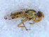  ( - DNA 20090523-03)  @13 [ ] Copyright (2010) Unspecified NCB Naturalis