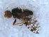  ( - DNA 20090523-19)  @12 [ ] Copyright (2010) Unspecified NCB Naturalis