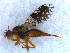  ( - DNA 20090523-21)  @13 [ ] Copyright (2010) Unspecified NCB Naturalis
