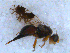  ( - DNA 20090523-30)  @13 [ ] Copyright (2010) Unspecified NCB Naturalis
