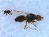  ( - DNA 20090527-07)  @12 [ ] Copyright (2010) Unspecified NCB Naturalis