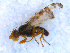  ( - DNA 20090527-17)  @13 [ ] Copyright (2010) Unspecified NCB Naturalis