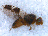  ( - DNA 20090610-06)  @12 [ ] Copyright (2010) Unspecified NCB Naturalis
