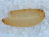  ( - DNA 20090612-02)  @12 [ ] Copyright (2010) Unspecified NCB Naturalis