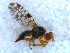  ( - DNA 20090612-19)  @13 [ ] Copyright (2010) Unspecified NCB Naturalis
