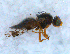  ( - DNA 20090613-03)  @12 [ ] Copyright (2010) Unspecified NCB Naturalis