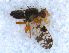  ( - DNA 20090613-09)  @12 [ ] Copyright (2010) Unspecified NCB Naturalis