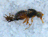  ( - DNA 20090613-20)  @12 [ ] Copyright (2010) Unspecified NCB Naturalis