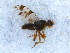  ( - DNA 20090613-25)  @11 [ ] Copyright (2010) Unspecified NCB Naturalis