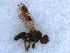  ( - DNA 20090613-29)  @12 [ ] Copyright (2010) Unspecified NCB Naturalis