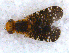  ( - DNA 20090619-03)  @14 [ ] Copyright (2010) Unspecified NCB Naturalis