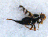  ( - DNA 20090619-07)  @13 [ ] Copyright (2010) Unspecified NCB Naturalis