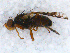  ( - DNA 20090622-06)  @13 [ ] Copyright (2010) Unspecified NCB Naturalis