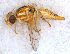  ( - DNA 20090625-14)  @13 [ ] Copyright (2010) Unspecified NCB Naturalis