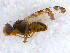  ( - DNA 20090625-15)  @13 [ ] Copyright (2010) Unspecified NCB Naturalis