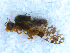  ( - DNA 20090627-31)  @12 [ ] Copyright (2010) Unspecified NCB Naturalis