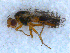  ( - DNA 20090627-36)  @13 [ ] Copyright (2010) Unspecified NCB Naturalis