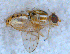  ( - DNA 20090704-05)  @14 [ ] Copyright (2010) Unspecified NCB Naturalis