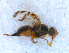  ( - DNA 20090705-27)  @13 [ ] Copyright (2010) Unspecified NCB Naturalis