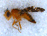  ( - DNA 20090705-40)  @12 [ ] Copyright (2010) Unspecified NCB Naturalis