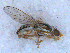  ( - DNA 20090706-13)  @14 [ ] Copyright (2010) Unspecified NCB Naturalis