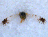  ( - DNA 20090707-40)  @13 [ ] Copyright (2010) Unspecified NCB Naturalis