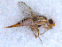  ( - DNA 20090707-52)  @14 [ ] Copyright (2010) Unspecified NCB Naturalis