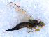  ( - DNA 20090708-04)  @12 [ ] Copyright (2010) Unspecified NCB Naturalis