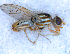  ( - DNA 20090708-09)  @14 [ ] Copyright (2010) Unspecified NCB Naturalis