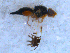  ( - DNA 20090717-23)  @12 [ ] Copyright (2010) Unspecified NCB Naturalis
