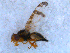  ( - DNA 20090717-25)  @13 [ ] Copyright (2010) Unspecified NCB Naturalis