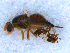  ( - DNA 20090718-16)  @12 [ ] Copyright (2010) Unspecified NCB Naturalis