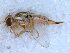  ( - DNA 20090718-20)  @13 [ ] Copyright (2010) Unspecified NCB Naturalis