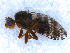  ( - DNA 20090718-22)  @13 [ ] Copyright (2010) Unspecified NCB Naturalis