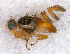  ( - DNA 20090722-27)  @13 [ ] Copyright (2010) Unspecified NCB Naturalis