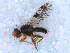  ( - DNA 20090722-30)  @12 [ ] Copyright (2010) Unspecified NCB Naturalis