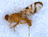  ( - DNA 20090726-71)  @12 [ ] Copyright (2010) Unspecified NCB Naturalis