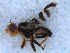  ( - DNA 20090808-04)  @13 [ ] Copyright (2010) Unspecified NCB Naturalis