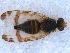  ( - DNA 20090808-07)  @13 [ ] Copyright (2010) Unspecified NCB Naturalis