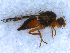  ( - DNA 20090808-08)  @12 [ ] Copyright (2010) Unspecified NCB Naturalis