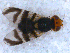  ( - DNA 20090808-13)  @14 [ ] Copyright (2010) Unspecified NCB Naturalis