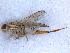  ( - DNA 20090813-01)  @13 [ ] Copyright (2010) Unspecified NCB Naturalis