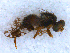  ( - DNA 20090813-04)  @12 [ ] Copyright (2010) Unspecified NCB Naturalis