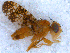  ( - DNA 20090813-06)  @12 [ ] Copyright (2010) Unspecified NCB Naturalis