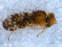  ( - DNA 20090813-07)  @12 [ ] Copyright (2010) Unspecified NCB Naturalis