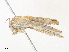  ( - CBG-A38441-G10)  @11 [ ] CreativeCommons - Attribution Share - Alike (2024) CBG Photography Group Centre for Biodiversity Genomics