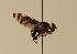  ( - ZMMU AIS000027)  @11 [ ] Unspecified (default): All Rights Reserved  Unspecified Unspecified