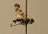  ( - ZMMU AIS000034)  @11 [ ] Unspecified (default): All Rights Reserved  Unspecified Unspecified