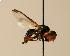  ( - ZMMU AIS000082)  @11 [ ] Unspecified (default): All Rights Reserved  Unspecified Unspecified