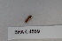  ( - BHAK-04559)  @11 [ ] CreativeCommons - Attribution No Derivatives (2018) Hakai Institute Hakai Institute